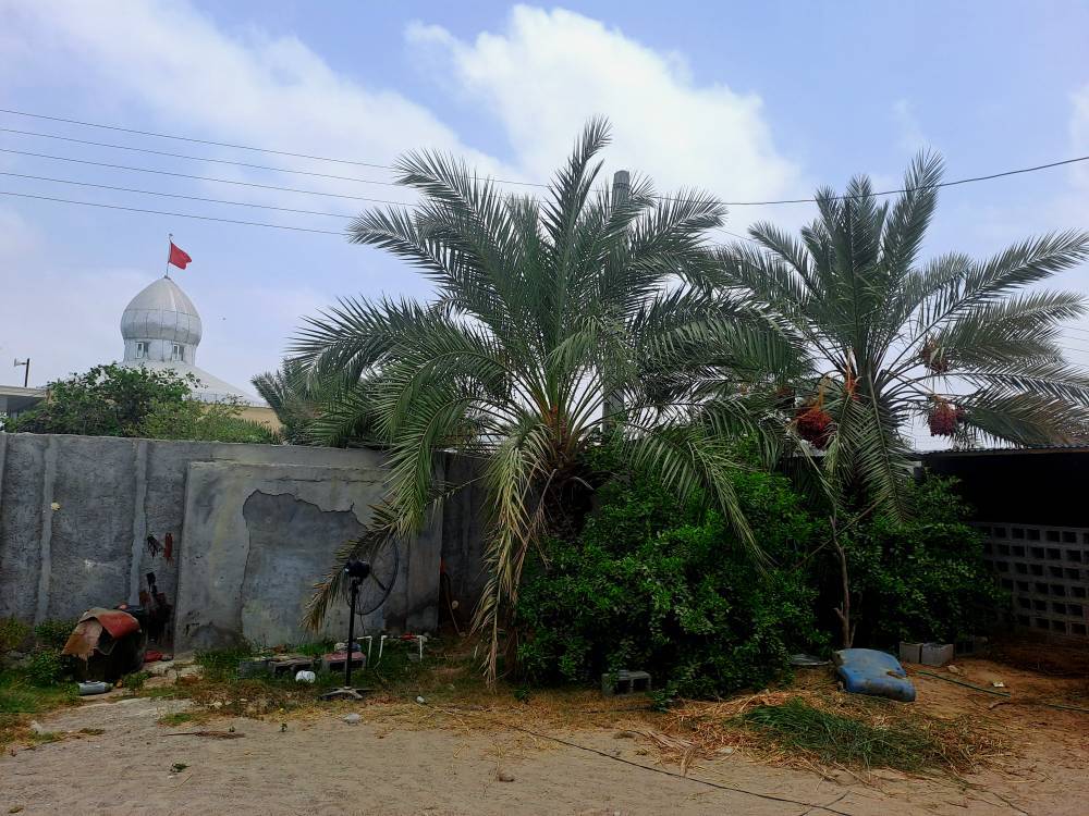 عروسی خونین